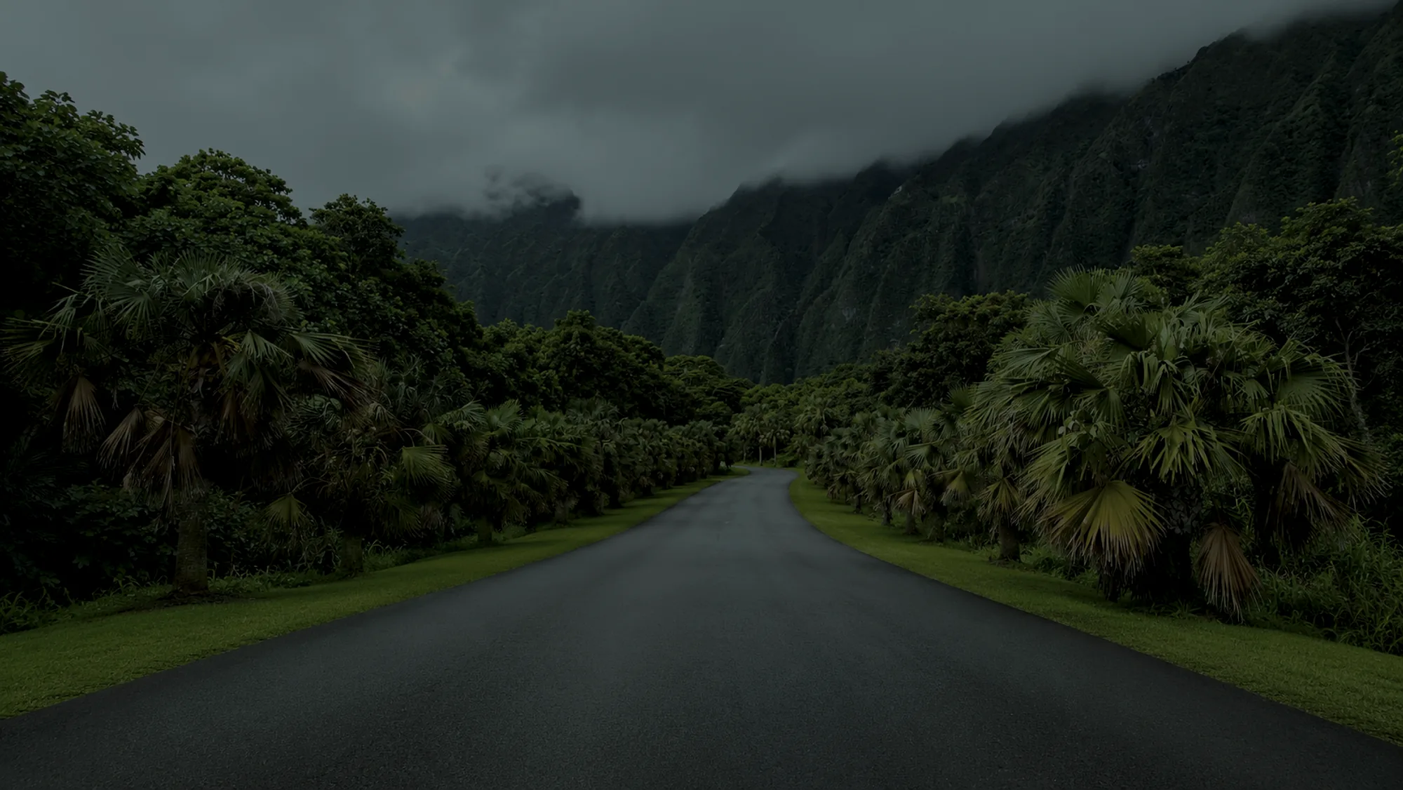 Mist over the Koʻolau cliffs above a palm-lined road